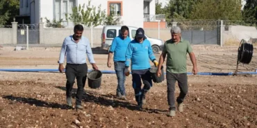 adıyaman sebze üretimi_1