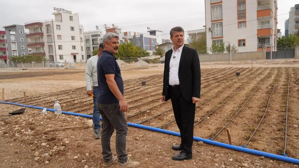 Adıyaman Belediyesi Sebze Üretimine Başladı 1