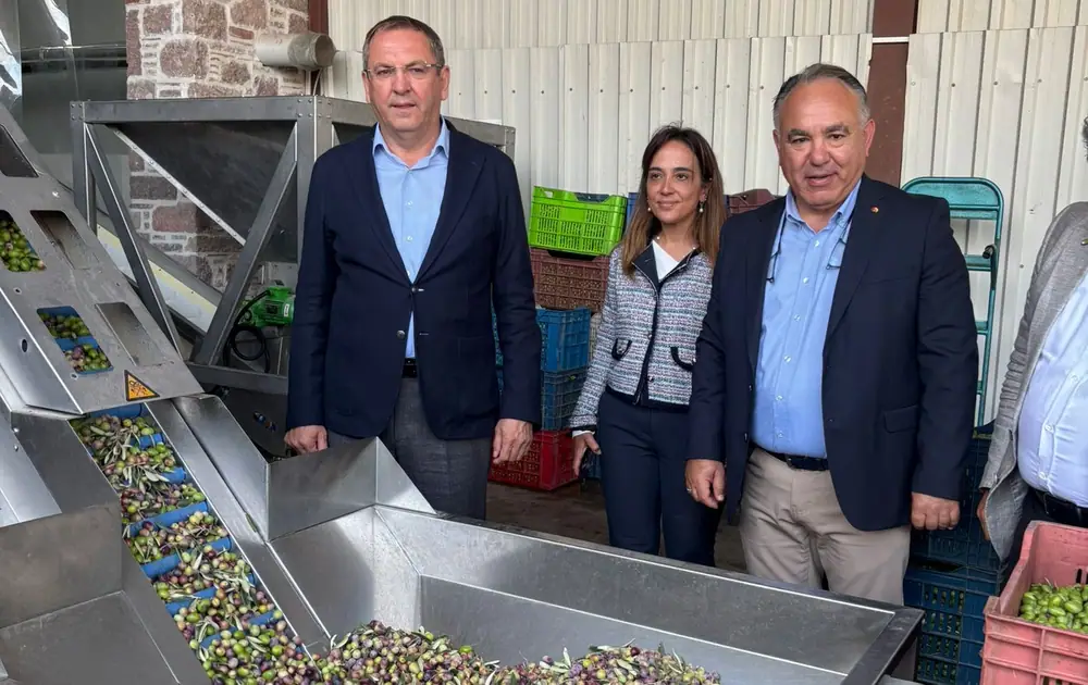 Ayvalık Ticaret Odası Başkanı Ali Uçar: "Zeytinyağı İhracatında En Büyük Sorun Markasızlık" 1 Ayvalık Ticaret Odası Başkanı Ali Uçar: "Zeytinyağı İhracatında En Büyük Sorun Markasızlık" 1