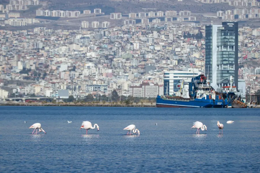 İzmir'in 2054 Nazım İmar Planı Hazırlanıyor 1 İzmir'in 2054 Nazım İmar Planı Hazırlanıyor 1
