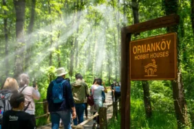 Ormanya ve Kuzuyayla 1