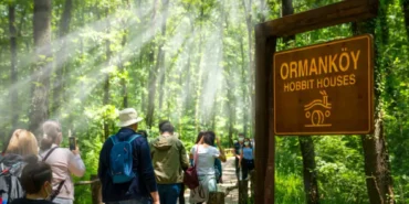 Ormanya ve Kuzuyayla 1