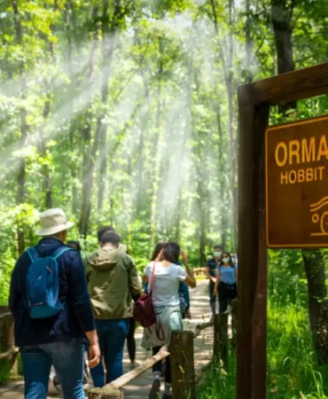 Ormanya ve Kuzuyayla 2 Milyon 280 Bin Ziyaretçi Ağırladı 2 Ormanya ve Kuzuyayla 1