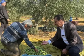 zeytin üreticileri (1)
