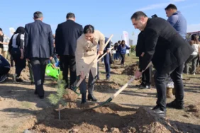 FİDANLAR TOPRAKLA BULUŞTU (2)