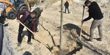 Şereflikoçhisar'da Ağaçlandırma Çalışması Gerçekleştirildi 7 1