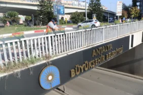 Kentin dört bir yanına kışlık çiçek (7)