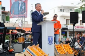 bodrum_belediyesi_bodrum_mandalin_festivali’ne_yoğun_ilgi (16)