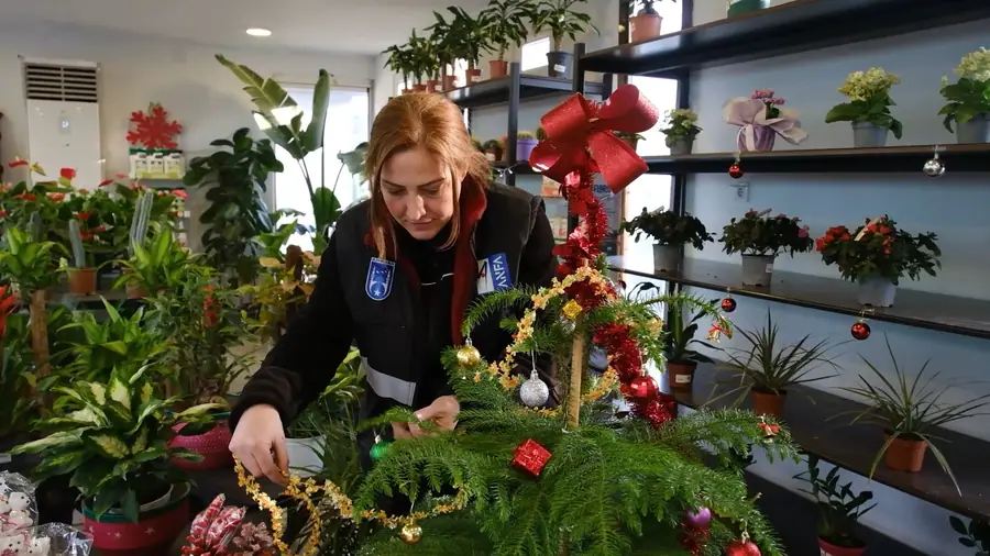 Büyükşehir'in Bitki Evlerinde Sezon Yoğunluğu 2