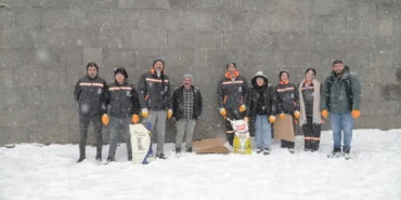 sokak hayvanları  2