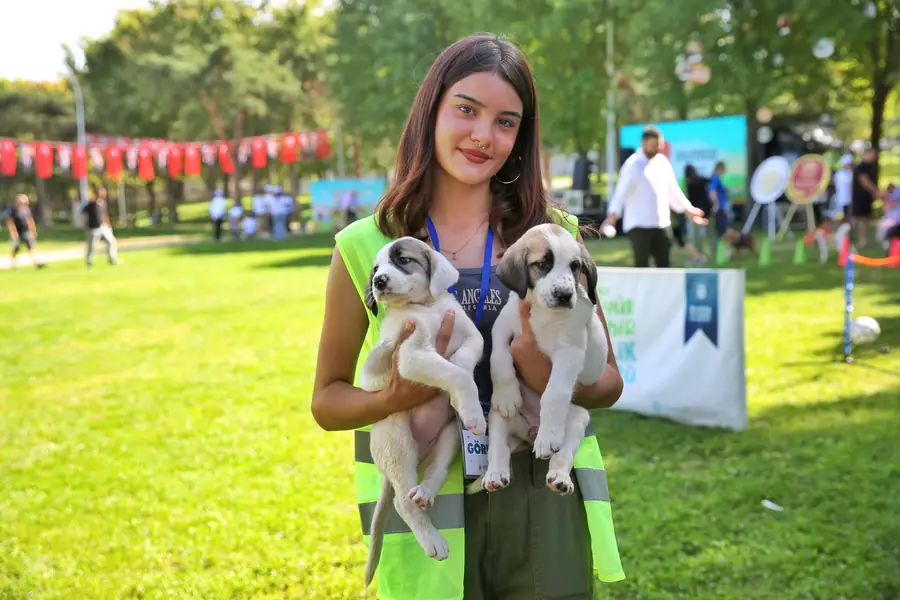Bursa Büyükşehir Patili Dostların Yanında 1