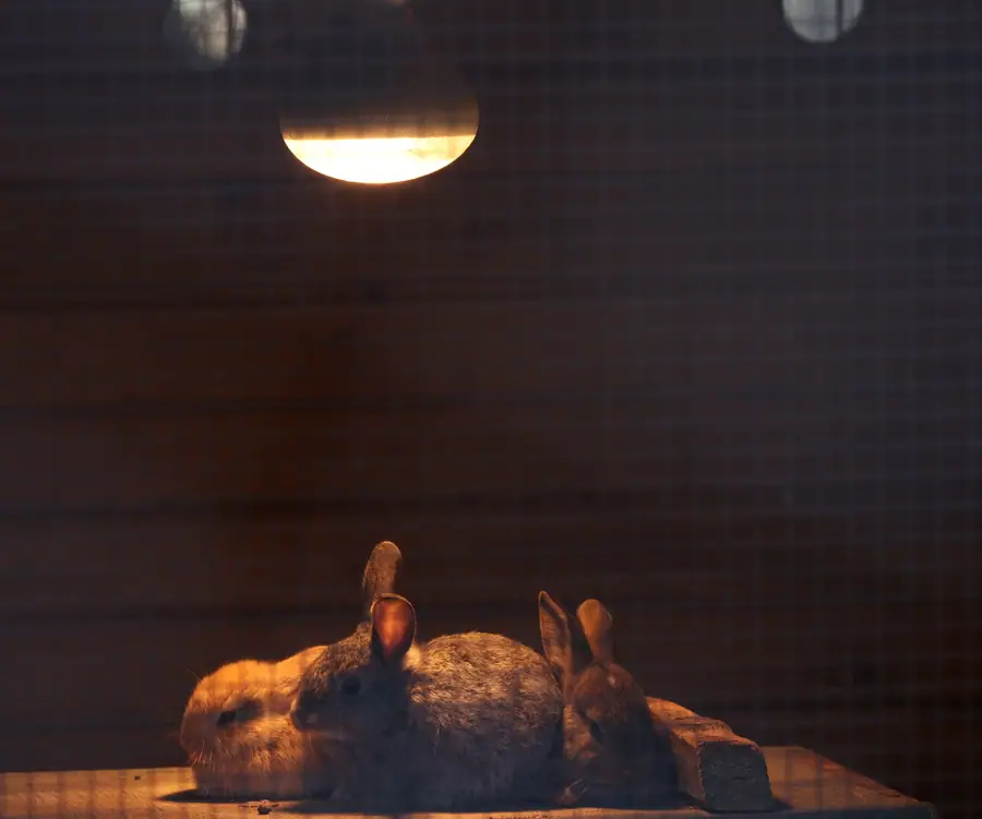 Antalya'da Doğal Yaşam Parkı Misafirleri İçin Kış Tedbirleri 1