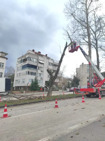 Bursa'da Şiddetli Lodos: 50 İhbara Müdahale Edildi 1