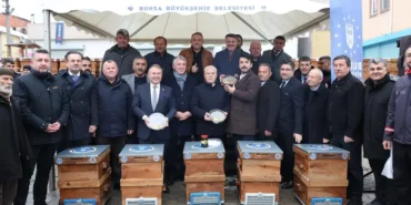 bursa-ari-kovani-destegi