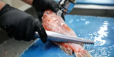 Düden Balık Çarşısı Vatandaşların Gözdesi Oldu 4 Düden Balık Çarşısı Antalyalıları uygun fiyatlı balık sofrasında buluşturuyor (1)