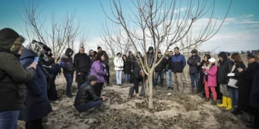 Ankara Büyükşehir'den Üreticilere Budama Kursu 3 ankara budama kaursu (1)