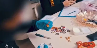 Siber Suçlara Yönelik Operasyonda 259 Şüpheli Yakalandı 6 siber suç operasyon