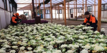 2026_02_04_Park Bahçeler_Çansera Üretim (4)