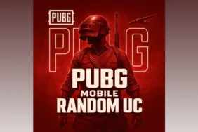pubc random