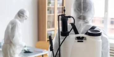 Fethiye Böcek İlaçlama