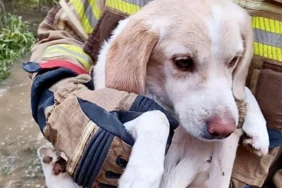 Başkan Dr. Cemil Tugay, ESİAD’da İzmir’in Geleceğini Anlattı 1 thumbnail