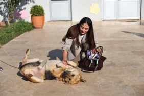Kirişçiler’de “Satın Alma, Sahiplen” çağrısı (1)