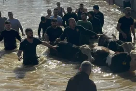 Manisa Büyükşehir Seferber 44 Vatandaş ve 127 Hayvan Tahliye Edildi (4)