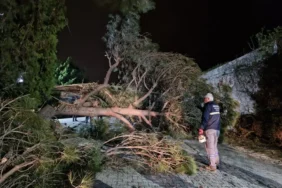 bodrum_belediyesi_park_ve_bahçeler_ekipleri_firtinada_sahadaydi (6)