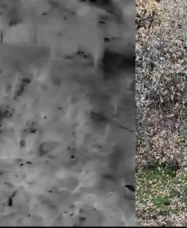 Uşak'ta Yasa Dışı Avcılığa Termal Drone ile Müdahale 5 Haber Görseli