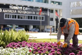 Antalya Büyükşehir Belediyesi ile şehre kadın eli değiyor (7)