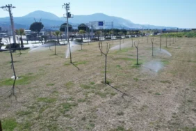 Manisa’da Yeşil Alanlarda Akıllı Sulama Dönemi Başladı (1)