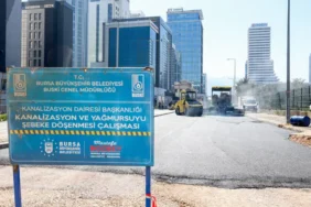 bursa odunluk çalışma 2