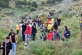 Belediyeden Yanan Ormanlık Alanda Fidan Dikim Etkinliği (1)