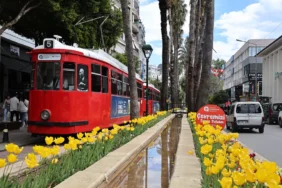Baharın habercisi laleler Antalya’yı renklendirdi (1)