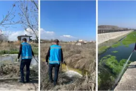 HAŞEREYLE MÜCADELE ARALIKSIZ SÜRÜYOR