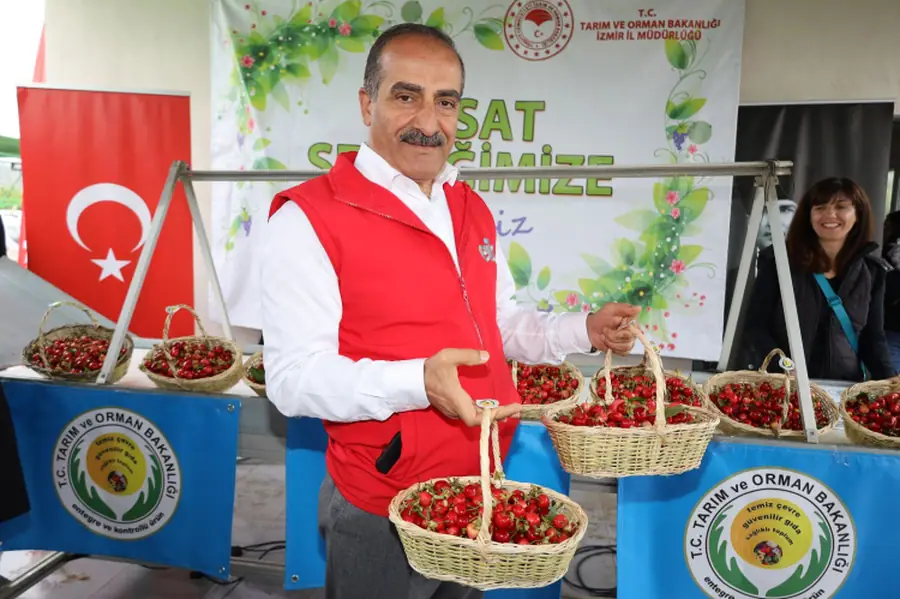 Kiraz Hasadı Manisa'da Başladı! Bu Yıl Kiraza Doyacağız 2 Kiraz Hasadı Manisa'da Başladı! Bu Yıl Kiraza Doyacağız 2