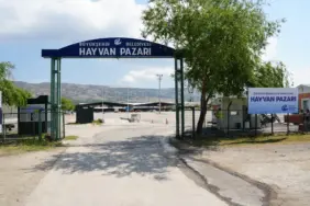 HAYVAN PAZARI İÇİN YER SATIŞLARI BAŞLADI (1)
