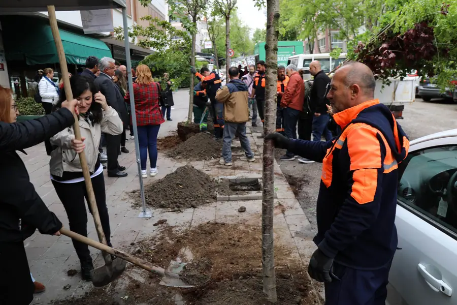 Şiddet Mağdurları Anısına 35 Fidan Dikildi 1 Şiddet Mağdurları Anısına 35 Fidan Dikildi 1