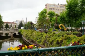 KÖPRÜBAŞI PALMİYELERLE SÜSLENDİ  (3)