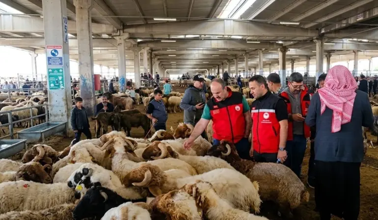 Kurban Bayramı Öncesi Veteriner Hekimler Tüm İllerde Sahaya İndi 1 Haber Görseli