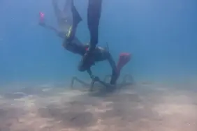 Deniz Dibi Temizliği Yahşi'de Devam Etti (7)