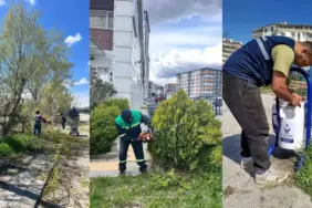 EKİPLERDEN KAPSAMLI ÇALIŞMA