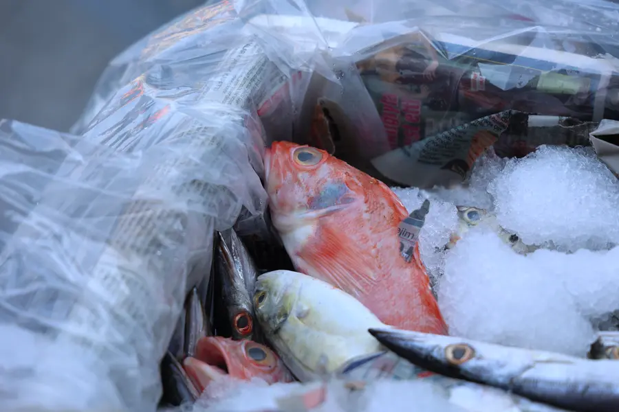 Antalya Otogarı'nda Kaçak Balık Operasyonu: 260 Kilogram Ürüne El Konuldu 1
