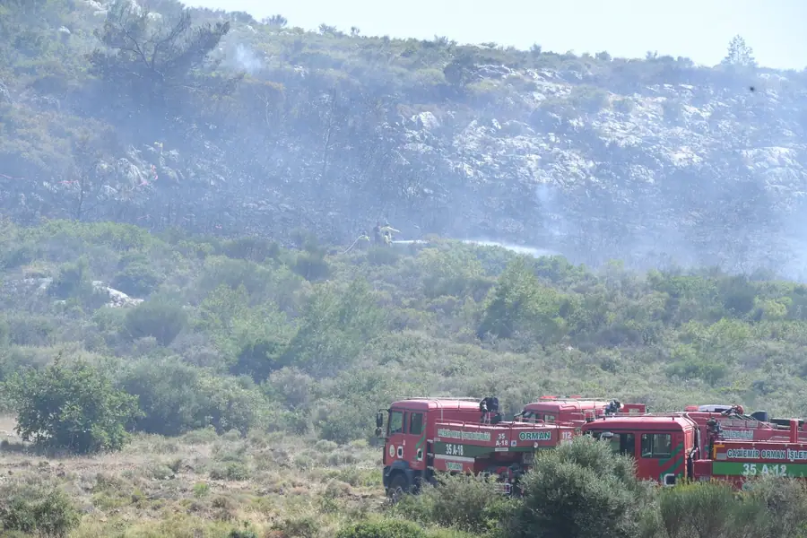 İzmir Urla’da Orman Yangını 1