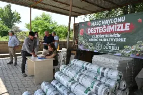 Manisa Büyükşehir’den Çilek Üreticilerine Malç Naylonu Desteği  (4)