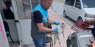 Kayseri İtfaiyesi Yeraltı Çarşısında Mahsur Kalan Kediyi Kurtardı 2 kayseri kedi 2