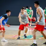 ğmit milli basketbol