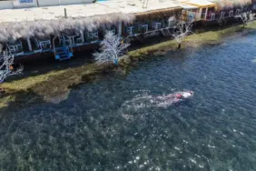 Deniz Dibi Temizliği Gümüşlükte Devam Etti (7)