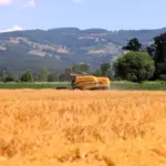 kocaeli tarım 2