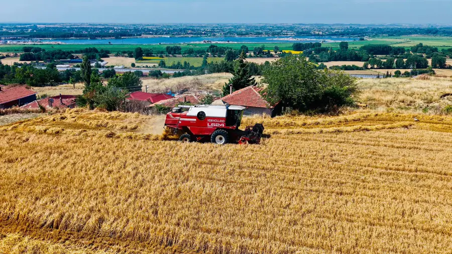 Edirne Belediyesi Tarım Arazilerinde Arpa Hasadı 1 Edirne Belediyesi Tarım Arazilerinde Arpa Hasadı 1